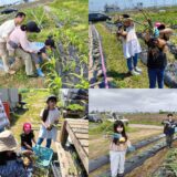 「震災を知らない子供たちと一緒に震災復興地で次世代へつなげる環境の学びを 親子で!」　第三弾☆