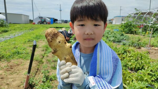 7/5(日) 野菜収穫体験&畑で食育イベントのお知らせ☆