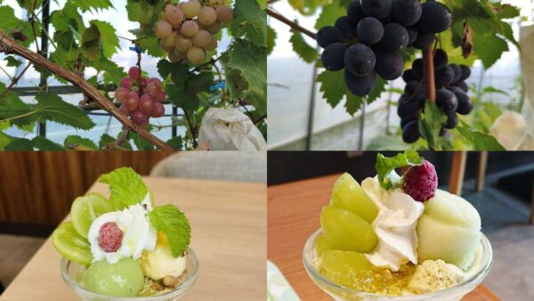 仙台白菜の植え付け&炭火ビザ&ぶどうパフェin畑★を開催します!!