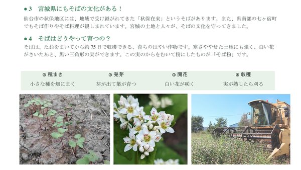 そばのひみつを探検しよう！