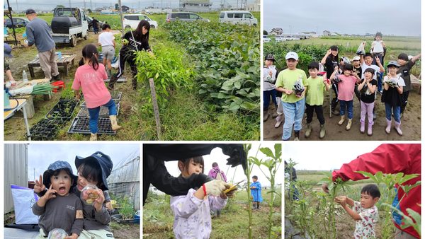 第6回　せんだい 未来に繋ぐ環境農食育の輪 プロジェクト 実施報告